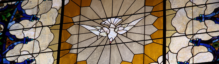 a stained glass image of a dove